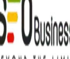 SEO Business Company: Your Leading Digital Marketing Partner in India